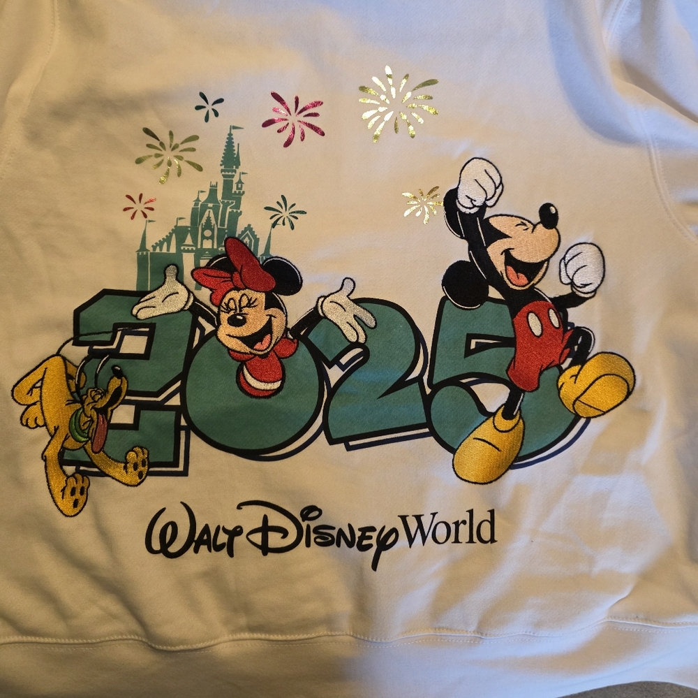 Disney World Graphic Sweatshirt